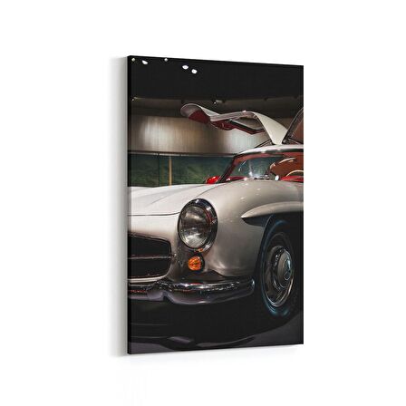 Olla 12274D Araç Görseli Dikey Kanvas Tablo (Ölçü: 20X30)