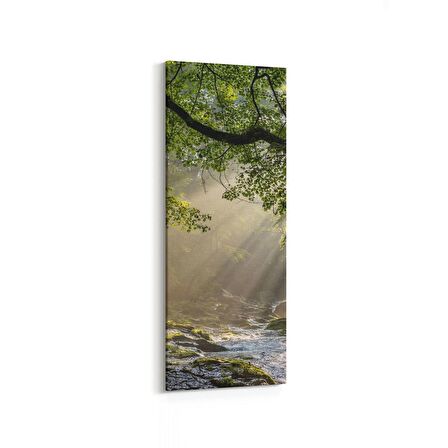 Olla 14139DI Doğa / Manzara Görseli Dikey İnce Kanvas Tablo (Ölçü: 40X120)