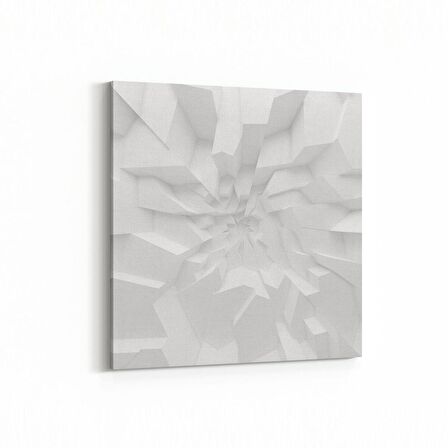 Olla 10454K Beyaz Kabartma Görseli Kare Kanvas Tablo (Ölçü: 25X25)