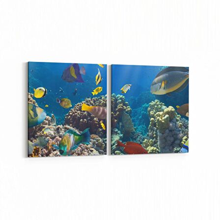 Olla 12101K2Y Akvaryum / Balık Görseli Kare 2'li Yatay Kanvas Tablo (Ölçü: 125X60)