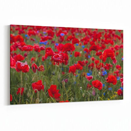 Olla 10986Y Ağaç Görseli Yatay Kanvas Tablo (Ölçü: 30X20)