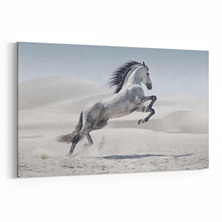 Olla 12548Y Hayvanlar Alemi Görseli Yatay Kanvas Tablo (Ölçü: 70X50)