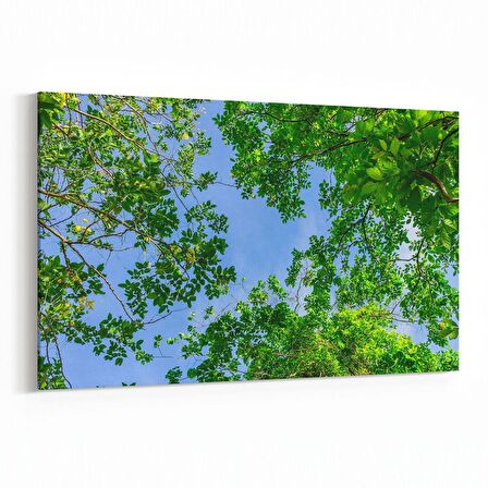 Olla 10972Y Ağaç Görseli Yatay Kanvas Tablo (Ölçü: 150X100)