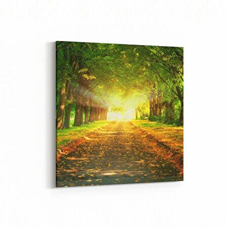 Olla 14570K Doğa / Manzara Görseli Kare Kanvas Tablo (Ölçü: 25X25)