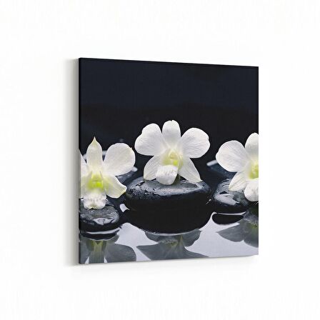 Olla 17105K Spa / Masaj Görseli Kare Kanvas Tablo (Ölçü: 25X25)