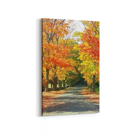 Olla 14529D Doğa / Manzara Görseli Dikey Kanvas Tablo (Ölçü: 60X90)