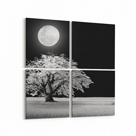 Olla 14475K4 Doğa / Manzara Görseli Kare 4'lü Kanvas Tablo (Ölçü: 125X125)