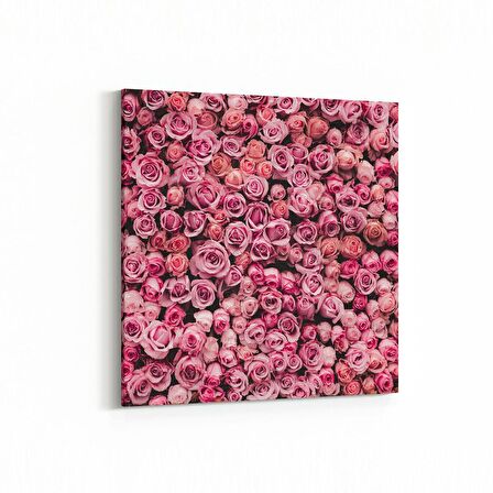Olla 11627K Çiçek Görseli Kare Kanvas Tablo (Ölçü: 25X25)