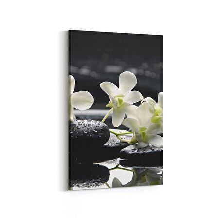 Olla 17101D Spa / Masaj Görseli Dikey Kanvas Tablo (Ölçü: 60X90)