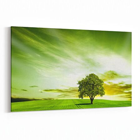 Olla 14608Y Doğa / Manzara Görseli Yatay Kanvas Tablo (Ölçü: 120X80)