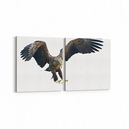 Olla 12502K2Y Hayvanlar Alemi Görseli Kare 2'li Yatay Kanvas Tablo (Ölçü: 85X40)