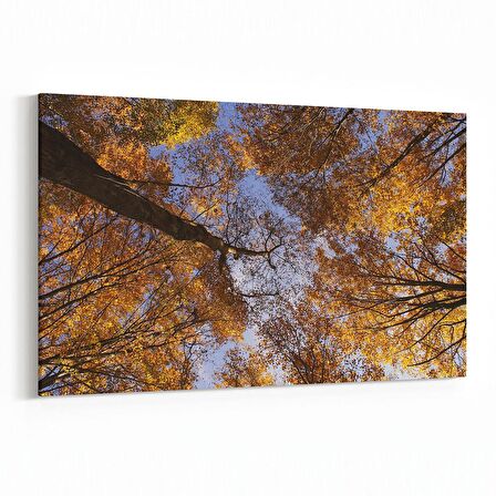 Olla 10856Y Ağaç Görseli Yatay Kanvas Tablo (Ölçü: 150X100)