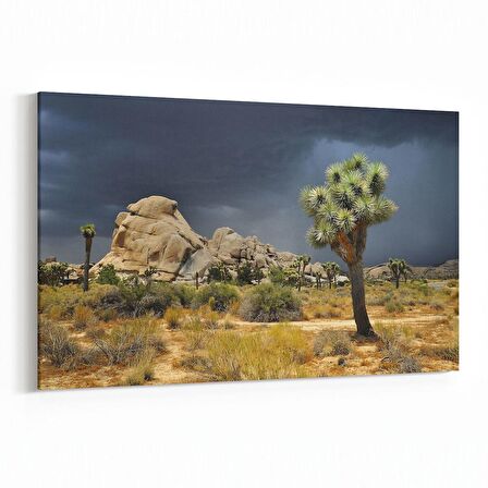 Olla 14571Y Doğa / Manzara Görseli Yatay Kanvas Tablo (Ölçü: 120X80)