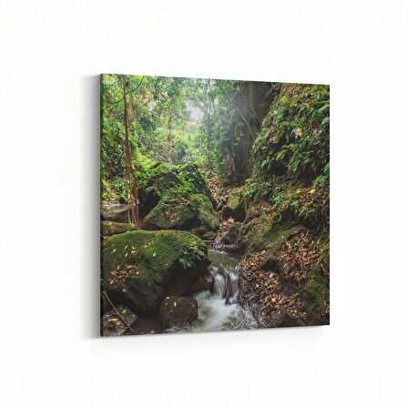 Olla 14089K Doğa / Manzara Görseli Kare Kanvas Tablo (Ölçü: 25X25)
