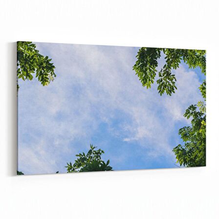 Olla 10862Y Ağaç Görseli Yatay Kanvas Tablo (Ölçü: 45X30)