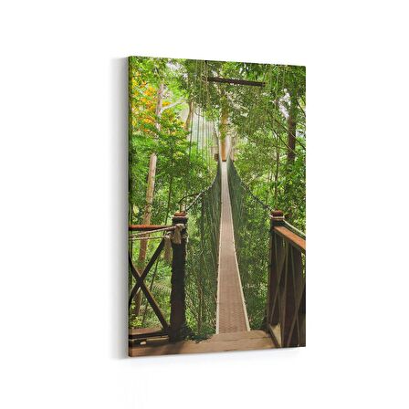 Olla 13669D Doğa / Manzara Görseli Dikey Kanvas Tablo (Ölçü: 60X90)