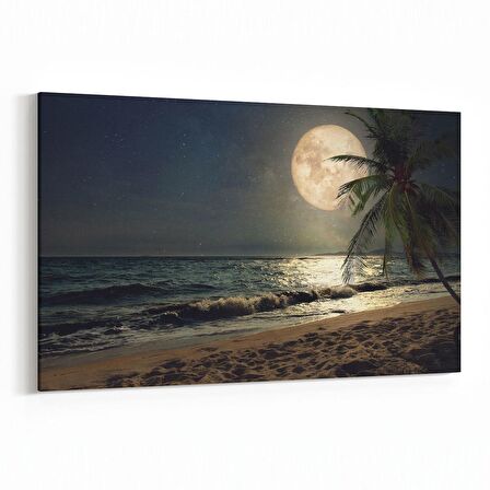 Olla 14780Y Gece Gökyüzü Görseli Yatay Kanvas Tablo (Ölçü: 150X100)