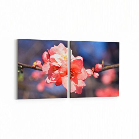 Olla 10930K2Y Ağaç Görseli Kare 2'li Yatay Kanvas Tablo (Ölçü: 125X60)