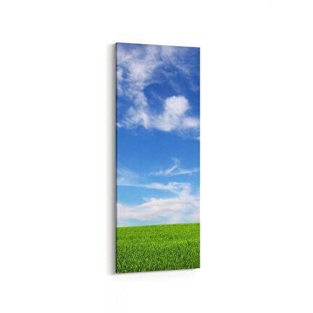 Olla 14465DI Doğa / Manzara Görseli Dikey İnce Kanvas Tablo (Ölçü: 40X120)