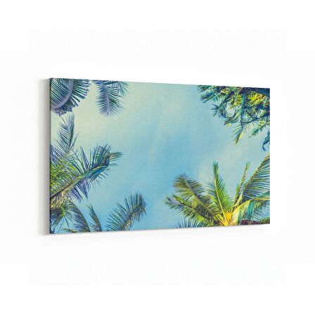 Olla 11523Y Palmiye Ağacı Görseli Yatay Kanvas Tablo (Ölçü: 150X100)