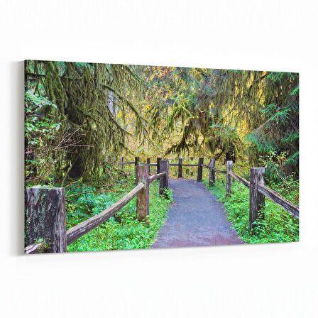 Olla 13305Y Doğa / Manzara Görseli Yatay Kanvas Tablo (Ölçü: 45X30)