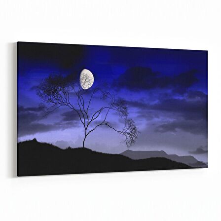Olla 14789Y Gece Gökyüzü Görseli Yatay Kanvas Tablo (Ölçü: 120X80)