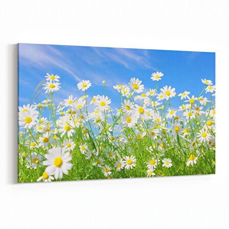 Olla 14320Y Doğa / Manzara Görseli Yatay Kanvas Tablo (Ölçü: 90X60)