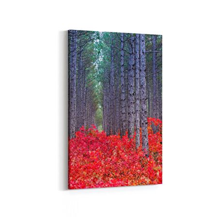 Olla 13561D Doğa / Manzara Görseli Dikey Kanvas Tablo (Ölçü: 80X120)