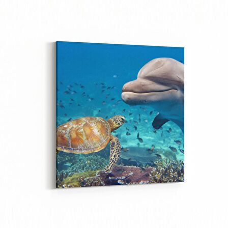 Olla 12947K Deniz / Okyanus Görseli Kare Kanvas Tablo (Ölçü: 30X30)