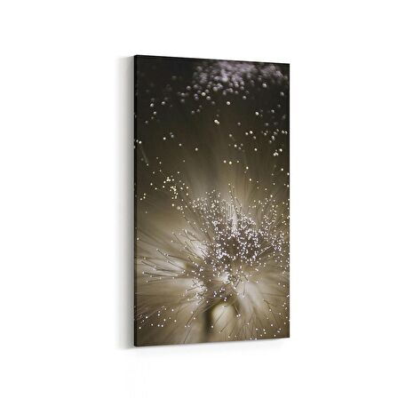Olla 10366DD Abstract Görsel Dikey Dar Kanvas Tablo (Ölçü: 30X60)