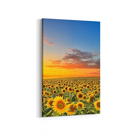Olla 15972D Günbatımı Görseli Dikey Kanvas Tablo (Ölçü: 60X90)