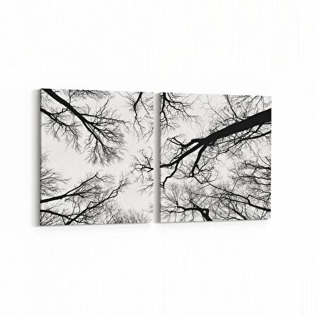 Olla 10943K2Y Ağaç Görseli Kare 2'li Yatay Kanvas Tablo (Ölçü: 125X60)