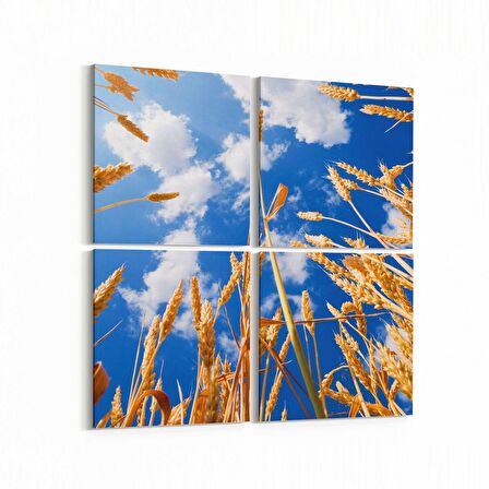 Olla 15283K4 Gıda Görseli Kare 4'lü Kanvas Tablo (Ölçü: 105X105)