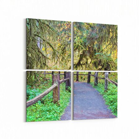 Olla 13305K4 Doğa / Manzara Görseli Kare 4'lü Kanvas Tablo (Ölçü: 105X105)