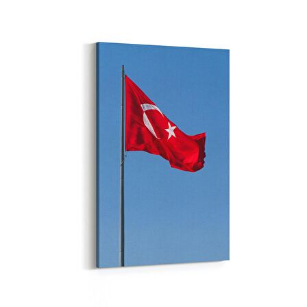 Olla 17534D Türk Bayrağı Görseli Dikey Kanvas Tablo (Ölçü: 20X30)