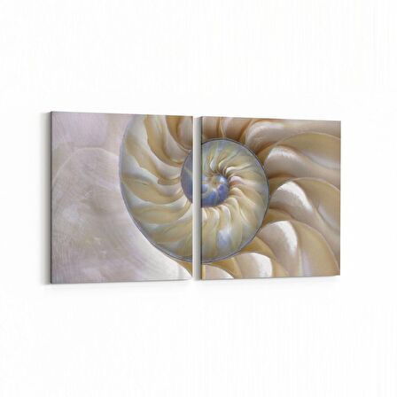 Olla 10273K2Y Abstract Girdap Görsel Kare 2'li Yatay Kanvas Tablo (Ölçü: 105X50)