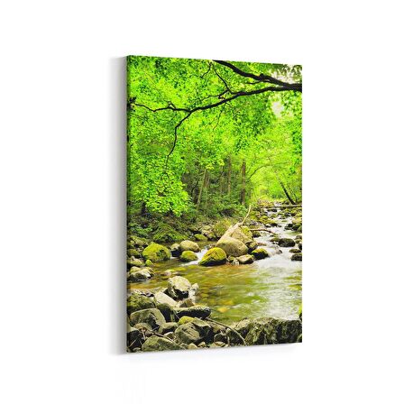 Olla 13954D Doğa / Manzara Görseli Dikey Kanvas Tablo (Ölçü: 20X30)