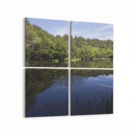 Olla 14263K4 Doğa / Manzara Görseli Kare 4'lü Kanvas Tablo (Ölçü: 145X145)