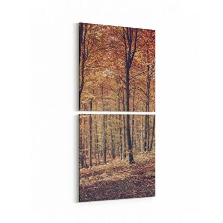 Olla 14136K2D Doğa / Manzara Görseli Kare 2'li Dikey Kanvas Tablo (Ölçü: 30X65)