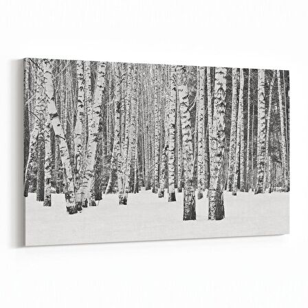 Olla 13317Y Doğa / Manzara Görseli Yatay Kanvas Tablo (Ölçü: 45X30)