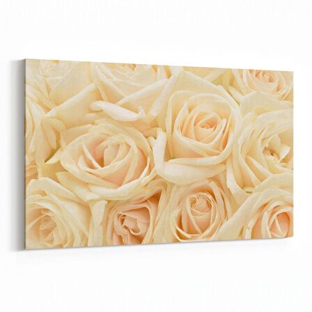 Olla 11642Y Çiçek Görseli Yatay Kanvas Tablo (Ölçü: 120X80)