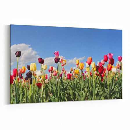 Olla 10770Y Ağaç Görseli Yatay Kanvas Tablo (Ölçü: 90X60)