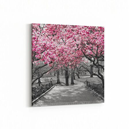 Olla 13832K Doğa / Manzara Görseli Kare Kanvas Tablo (Ölçü: 25X25)