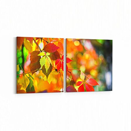 Olla 10479K2Y Ağaç Görseli Kare 2'li Yatay Kanvas Tablo (Ölçü: 145X70)