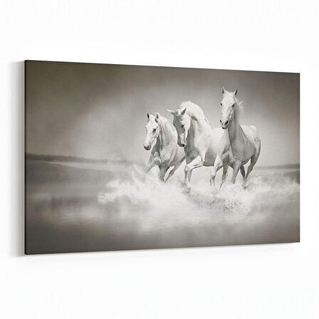 Olla 12479Y Hayvanlar Alemi Görseli Yatay Kanvas Tablo (Ölçü: 30X20)