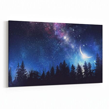 Olla 14842Y Gece Gökyüzü Görseli Yatay Kanvas Tablo (Ölçü: 45X30)