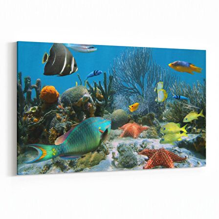 Olla 12056Y Akvaryum / Balık Görseli Yatay Kanvas Tablo (Ölçü: 150X100)
