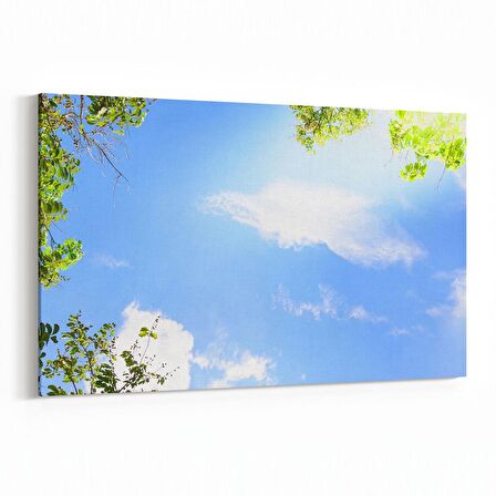 Olla 10776Y Ağaç Görseli Yatay Kanvas Tablo (Ölçü: 150X100)