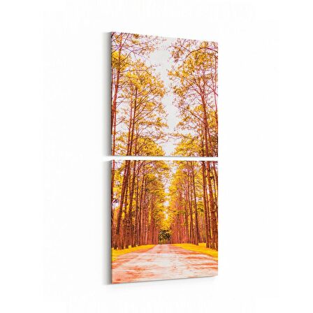 Olla 14101K2D Doğa / Manzara Görseli Kare 2'li Dikey Kanvas Tablo (Ölçü: 30X65)