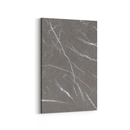 Olla 16734D Mermer Desen Görsel Dikey Kanvas Tablo (Ölçü: 100X150)